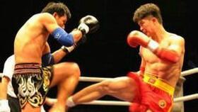 散打网络新闻爆料,网络爆料揭示行业内幕  第1张